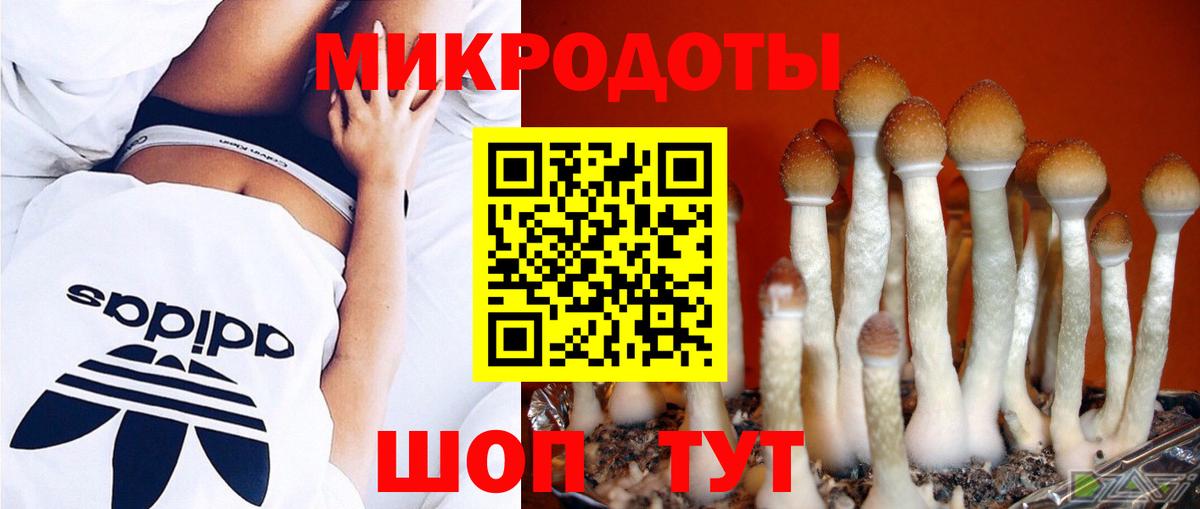 Псилоцибиновые грибы Psilocybine cubensis Феодосия